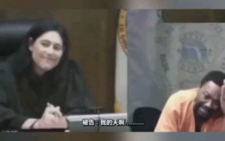 被主人罚一整天，我的反思与成长