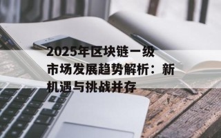 2025年区块链一级市场发展趋势解析：新机遇与挑战并存
