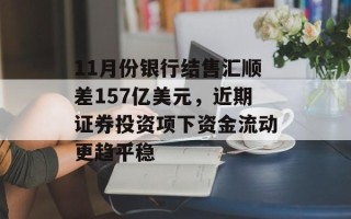 11月份银行结售汇顺差157亿美元，近期证券投资项下资金流动更趋平稳
