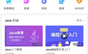 Java编程狮app界面功能一览