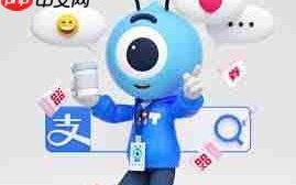 支小宝是什么