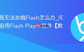 IE浏览器无法加载Flash怎么办_IE浏览器启用Flash Player插件【教程】