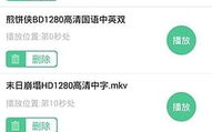 西瓜播放器,高效视频播放解决方案-功能与优势解析