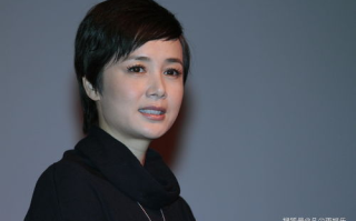 揭秘蒋雯丽：从实力派演员到金牌导演的华丽蜕变
