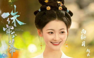 珠帘玉幕电视剧免费观看完整版-合法途径与剧情解析