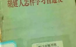 港版普通话版《澳门风云》- 语言差异与观影体验解析