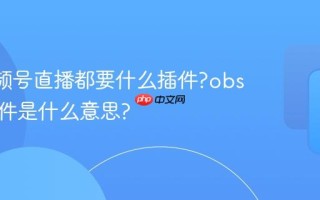 obs视频号直播都要什么插件?obs直播组件是什么意思?