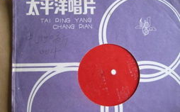 《中国好声音》冠军,音乐才华的展现-节目影响力与选手发展解析