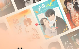 探索红果短剧大屏世界 网页版观看入口即刻点击