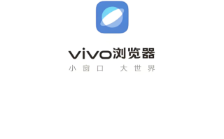 vivo浏览器怎么看小说最方便 vivo浏览器阅读模式的设置与使用