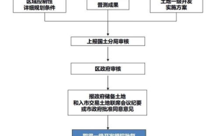2020好声音,音乐才华的璀璨舞台-选手表现与节目特色解析