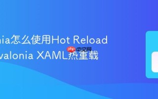 Avalonia怎么使用Hot Reload功能 Avalonia XAML热重载