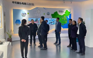 中天科技，引领行业创新-科技企业竞争力分析