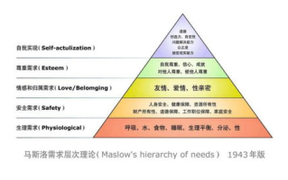 狂野需求应对策略，企业生存与发展之道-市场适应性分析