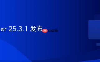 DBeaver 25.3.1 发布