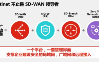 《偷偷藏不住》第25集免费观看攻略-合法途径与版权意识