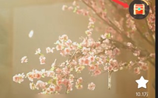 红果免费短剧立即签到方法