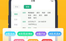 书旗小说阅读体验优化与SEO策略解析