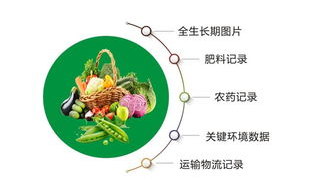 寻找流淌的美好时光-回忆与感悟之旅
