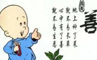 培养年善良的下一代，14岁青少年成长教育解析