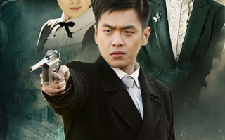 黑狐电视剧,爱国主义情怀的精彩演绎-剧情与角色解析