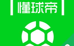 懂球帝足球比赛直播,实时互动体验-直播技术解析