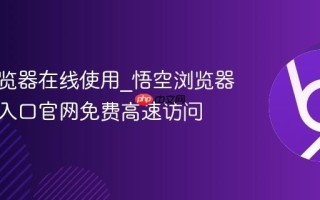悟空浏览器在线使用_悟空浏览器网页版入口官网免费高速访问