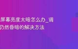 Win11屏幕亮度太暗怎么办_调整亮度仍然昏暗的解决方法