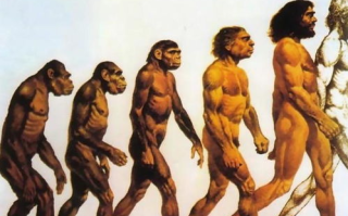 人与动物杂交的可能性与案例-探索生物学边界