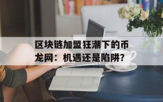区块链加盟狂潮下的币龙网：机遇还是陷阱？