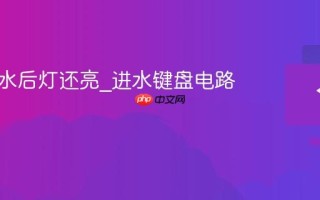 键盘进水后灯还亮_进水键盘电路处理