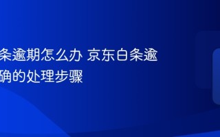 京东白条逾期怎么办 京东白条逾期后正确的处理步骤