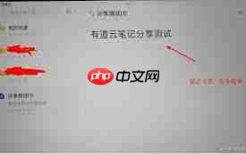 谁看了我的有道云笔记分享