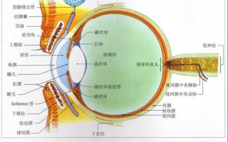 聚光科技，点亮未来-应用领域与优势分析