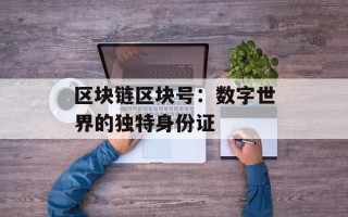 区块链区块号：数字世界的独特身份证