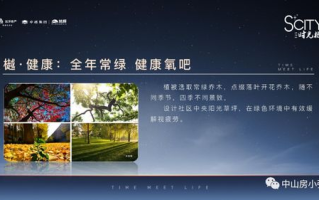 imToken冷钱包充值指南：安全转账操作详解