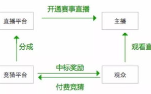 67体育直播在线观看,高清赛事体验-观看技巧与平台选择