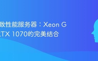 打造极致性能服务器：Xeon Gold与RTX 1070的完美结合