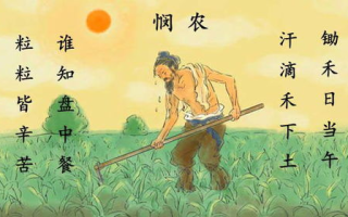 科技小农,现代农业发展的新动力-科技创新实践解析