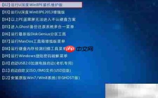 U盘启动用DG备份分区