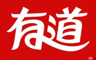 有道词典官方网站入口 免费查词翻译入口