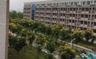 河南科技大学排名,学术实力与声誉解析-教育质量评估