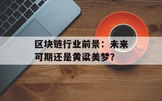 区块链行业前景：未来可期还是黄粱美梦？