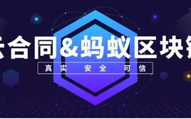 如何高效接入蚂蚁区块链？详解步骤与策略