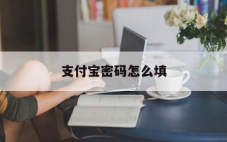 支付宝密码怎么填