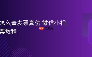 微信里怎么查发票真伪 微信小程序查发票教程