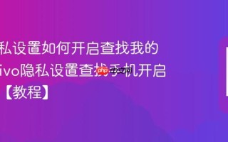 vivo隐私设置如何开启查找我的手机_vivo隐私设置查找手机开启与定位【教程】