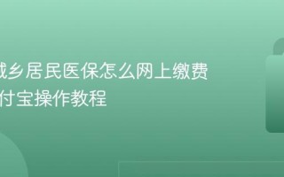 2026城乡居民医保怎么网上缴费 微信支付宝操作教程