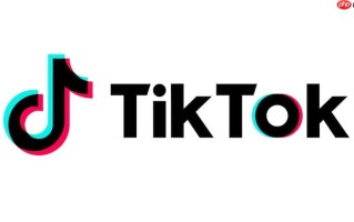 tiktok在线观看网页版入口 TikTok国际版官网登录解析