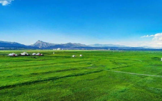 草原风光在线直播：免费体验自然之美